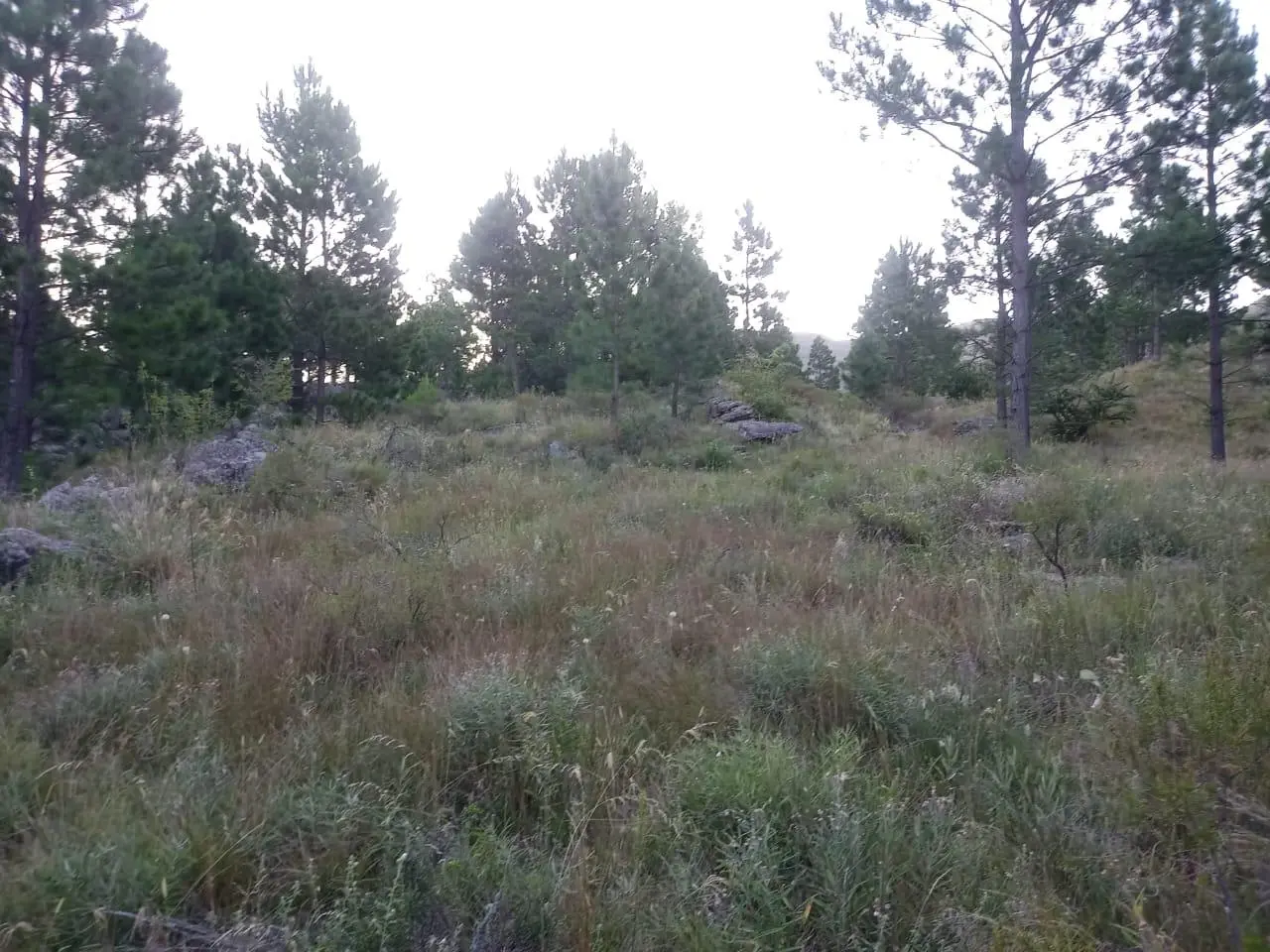 Foto 13