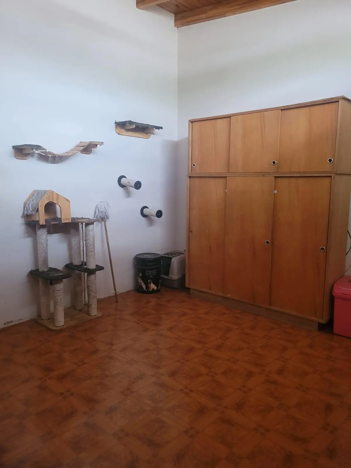Foto 17