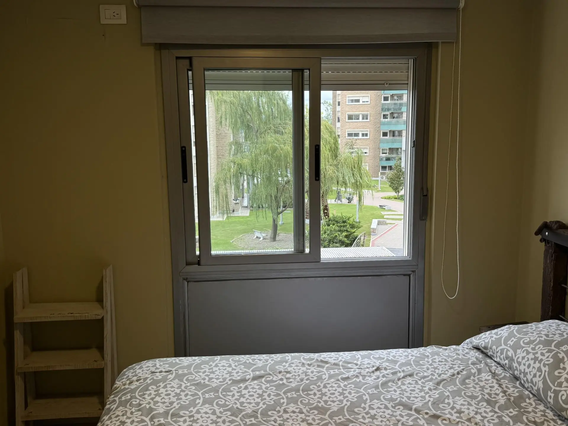 Foto 19