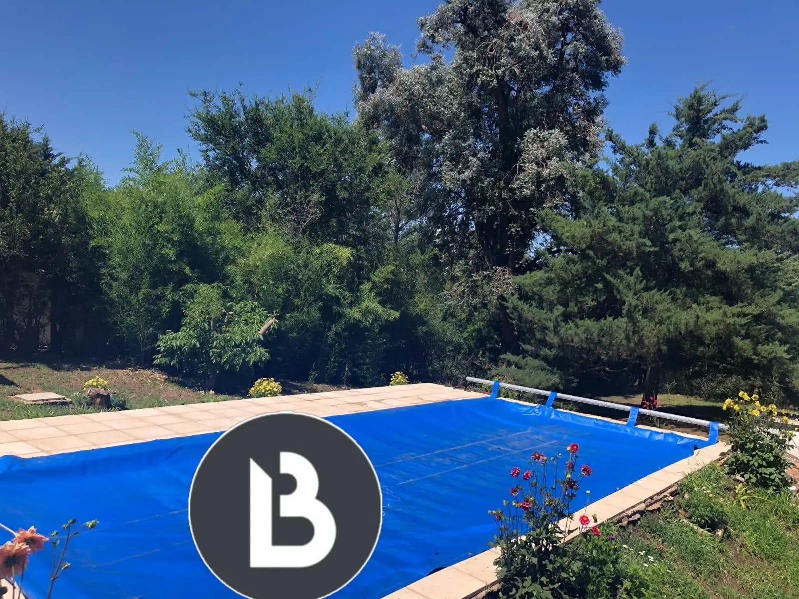 Foto 6
