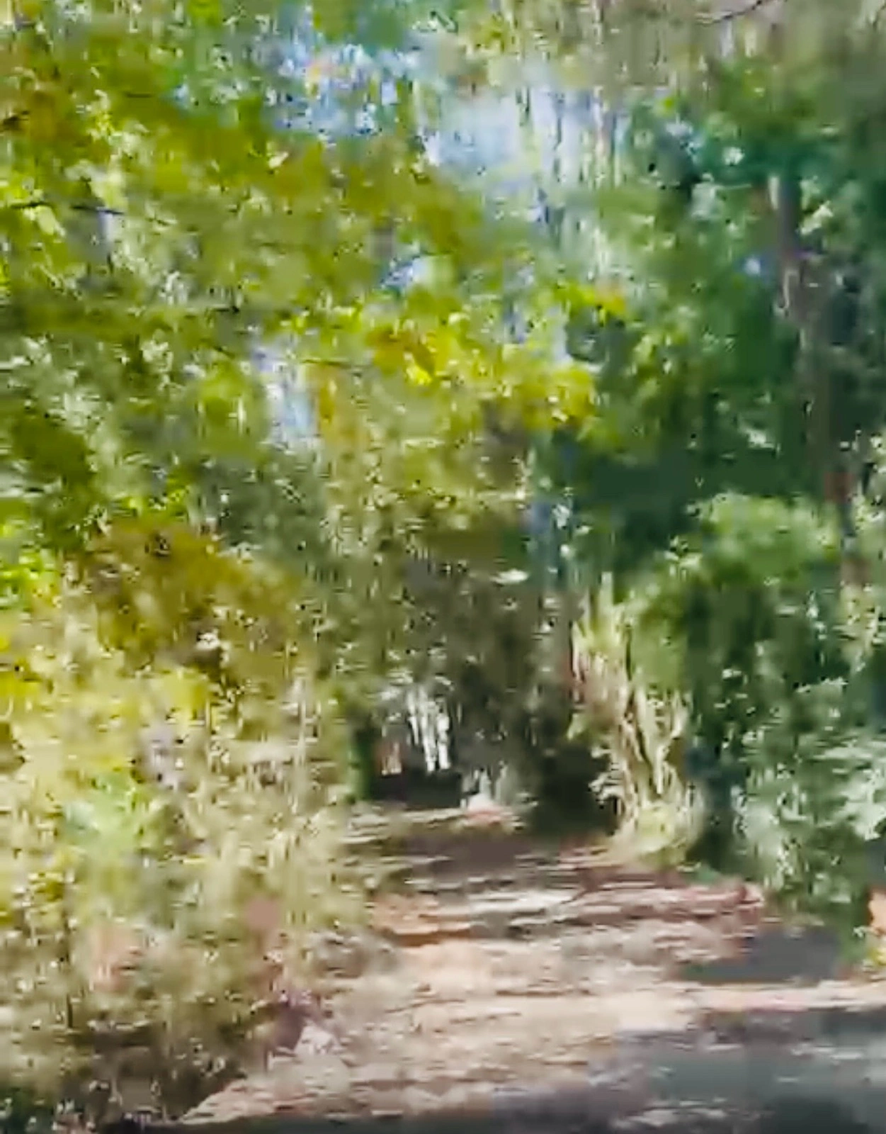 Foto 22
