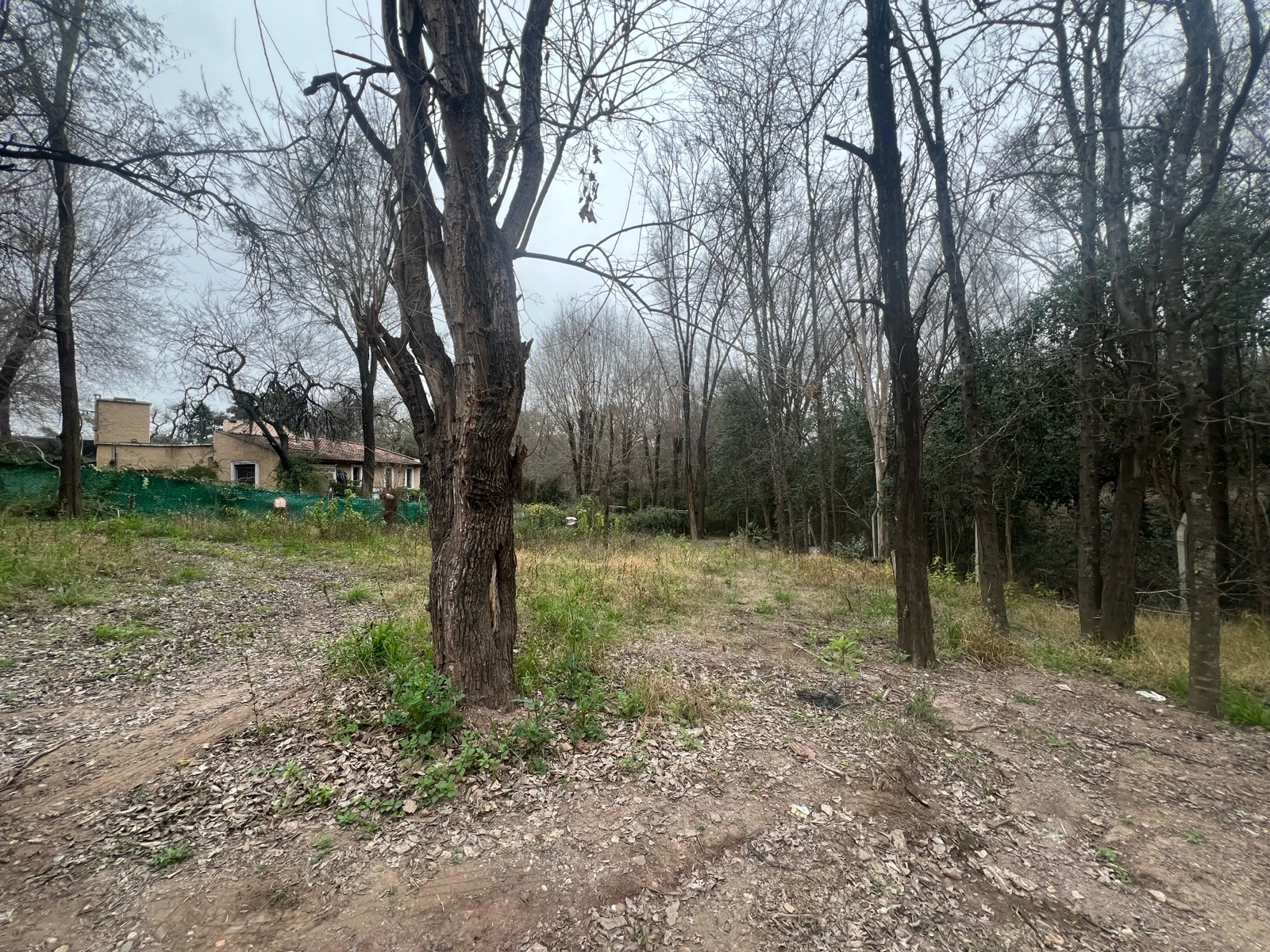 Foto 18