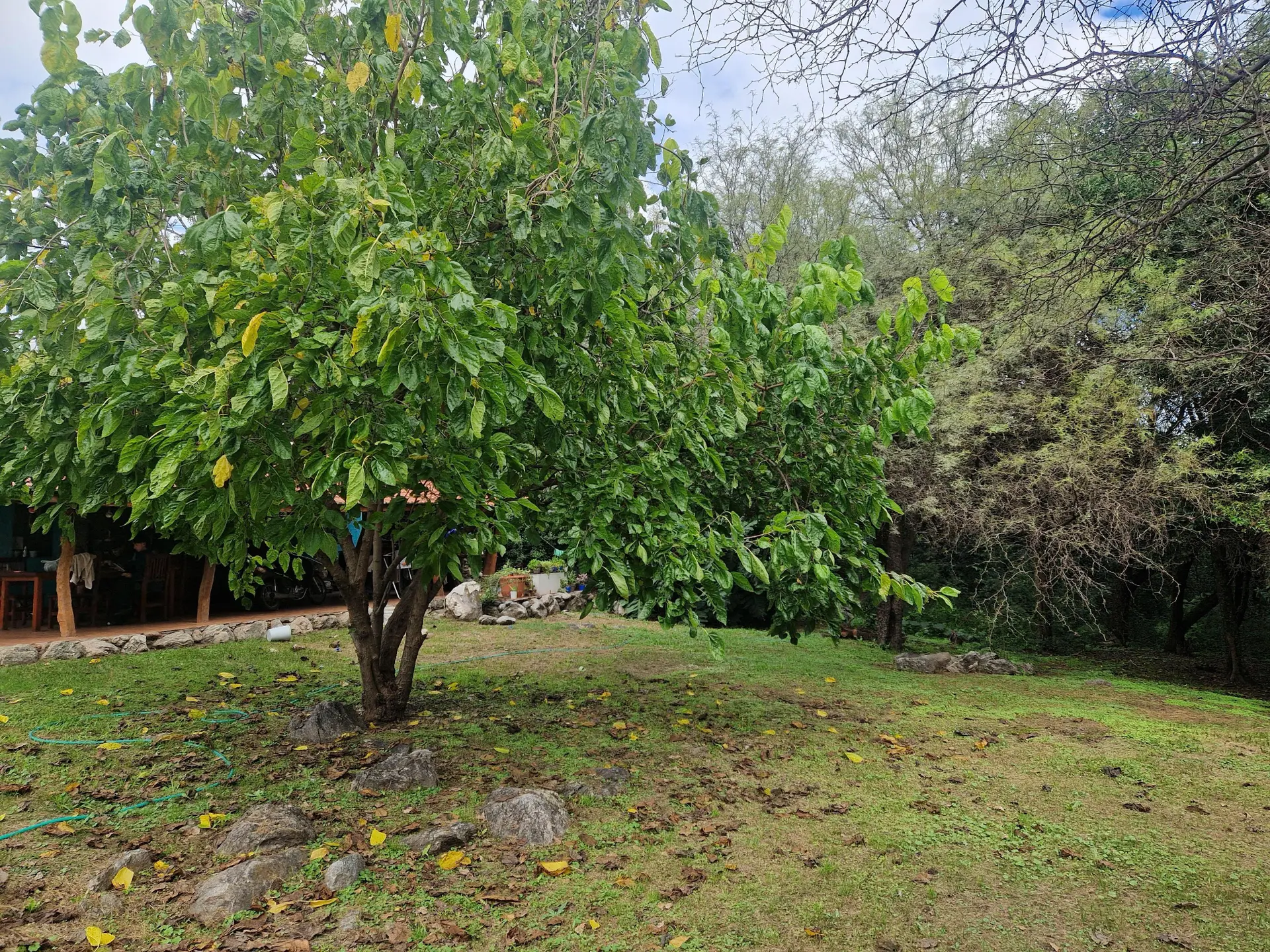 Foto 8