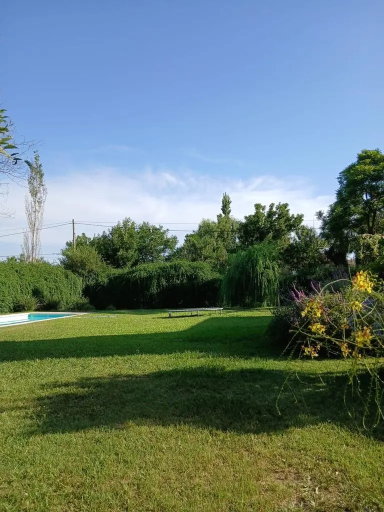 Foto 29
