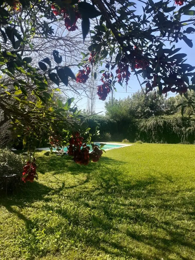Foto 33