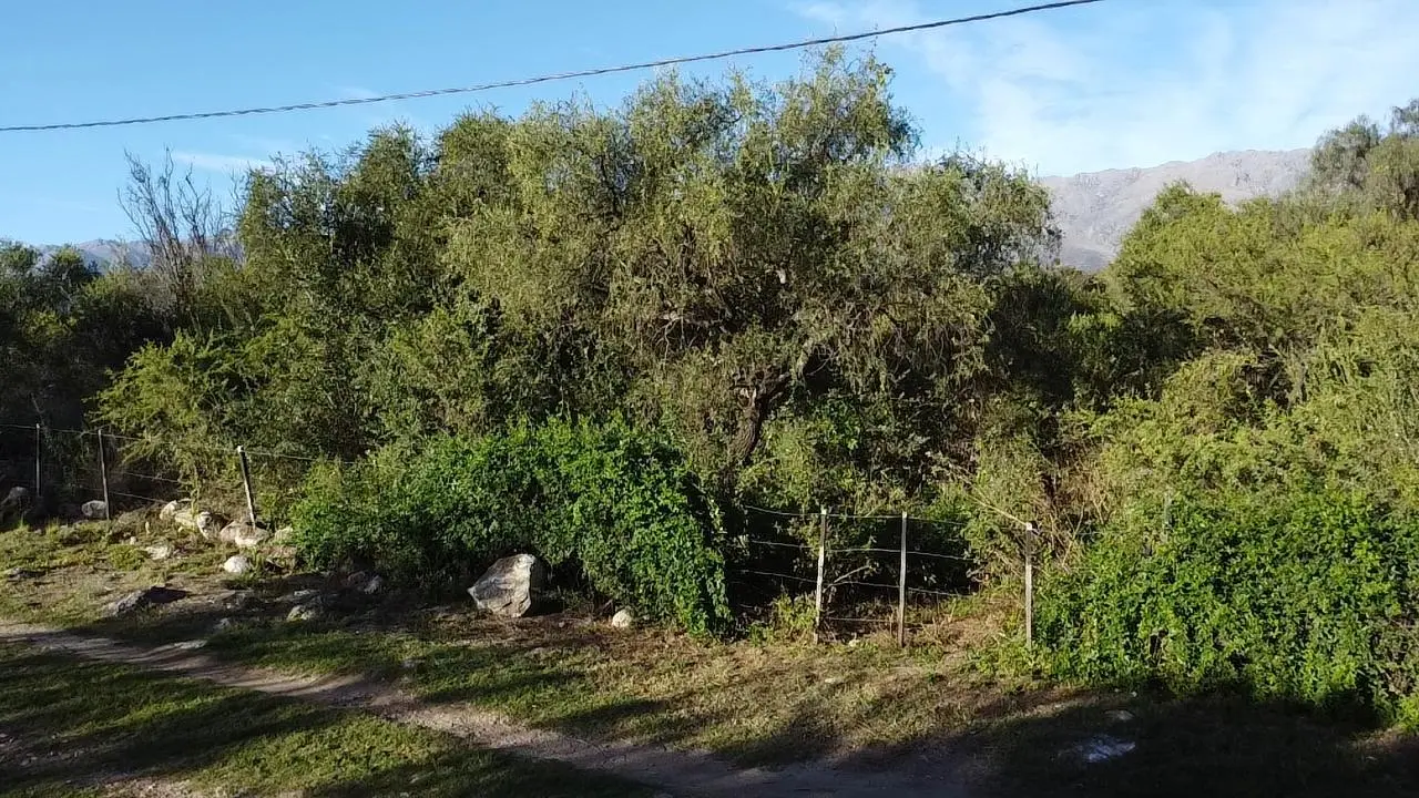 Foto 13