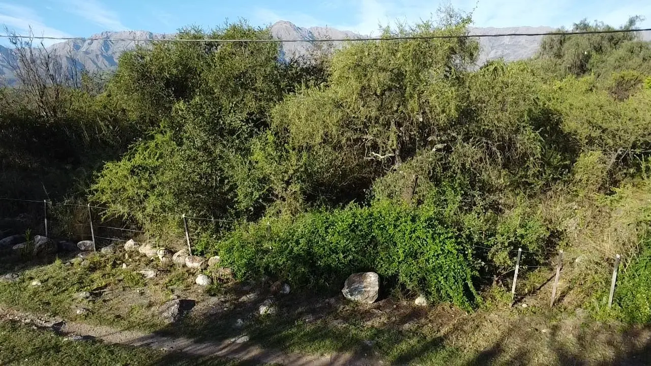 Foto 16