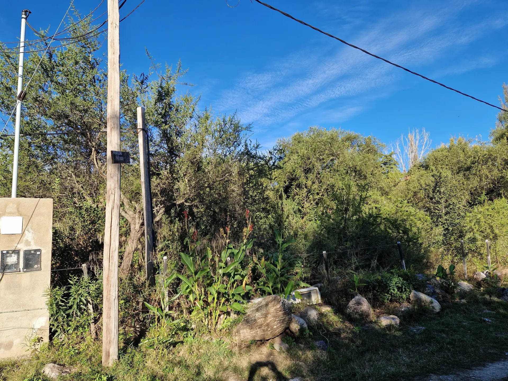 Foto 8
