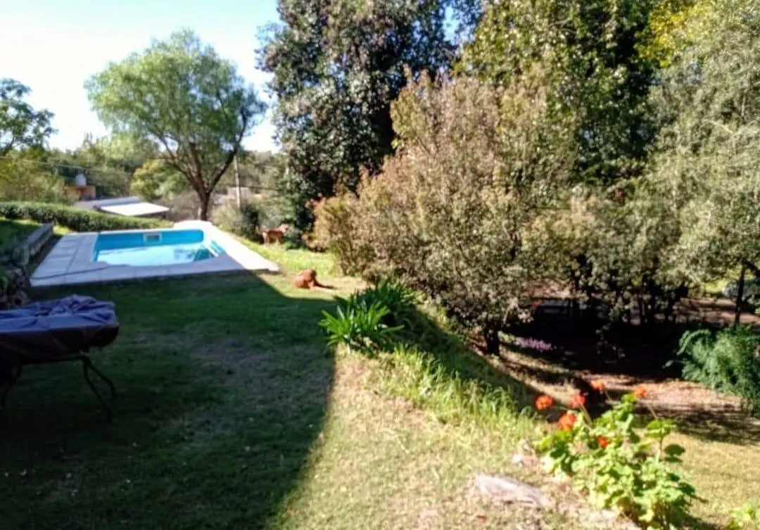 Foto 13