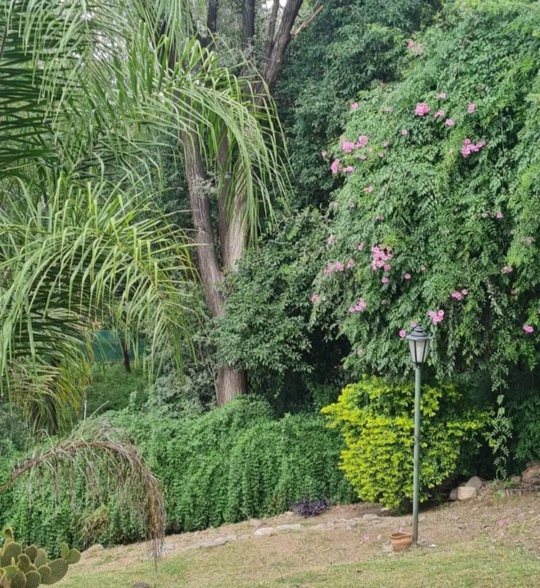 Foto 15