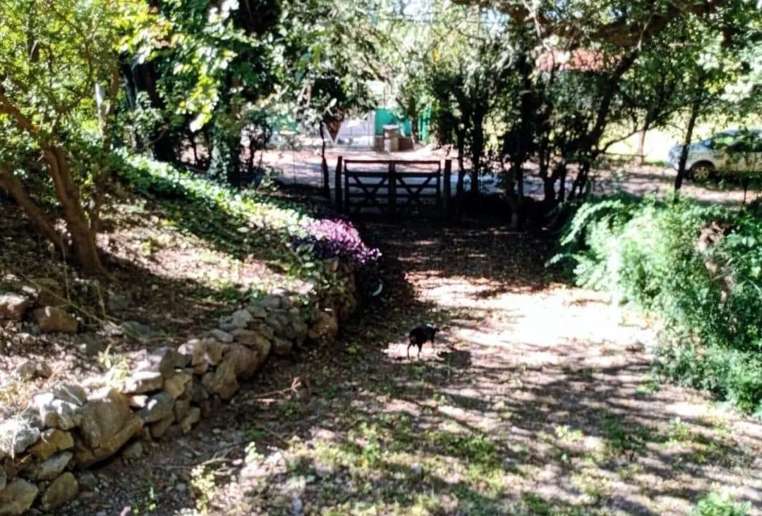 Foto 14