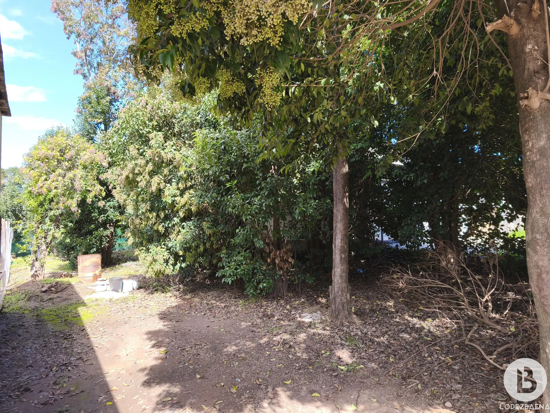 Foto 11
