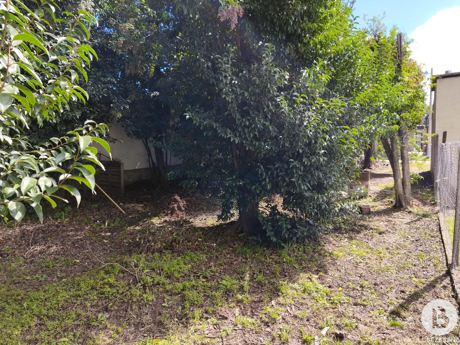 Foto 10