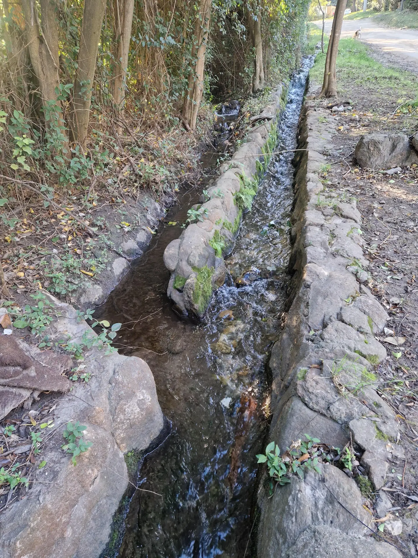 Foto 5