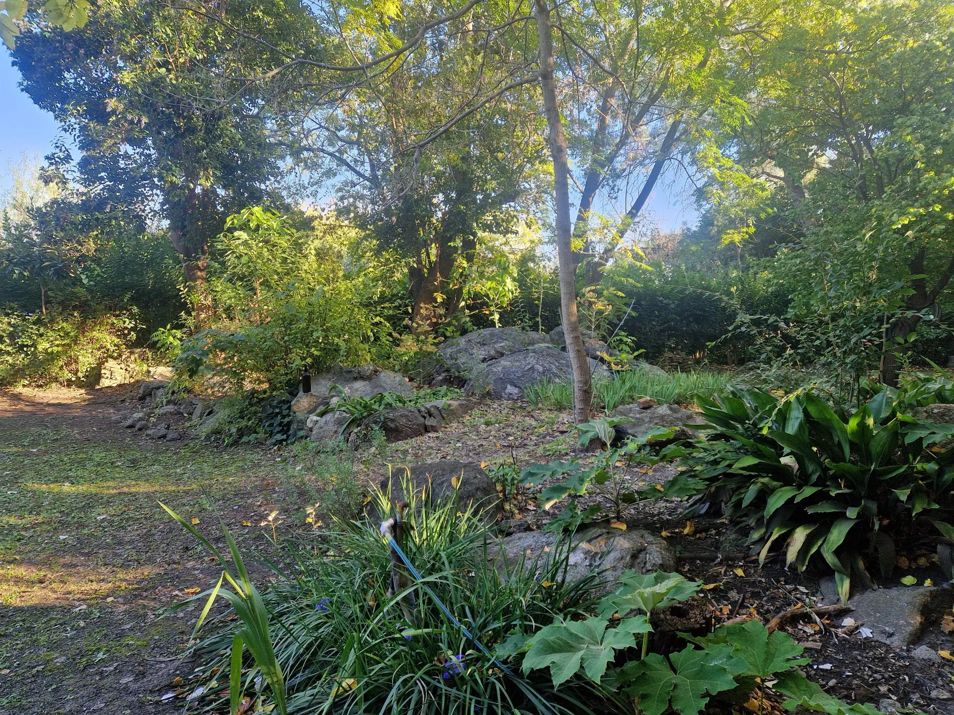 Foto 20