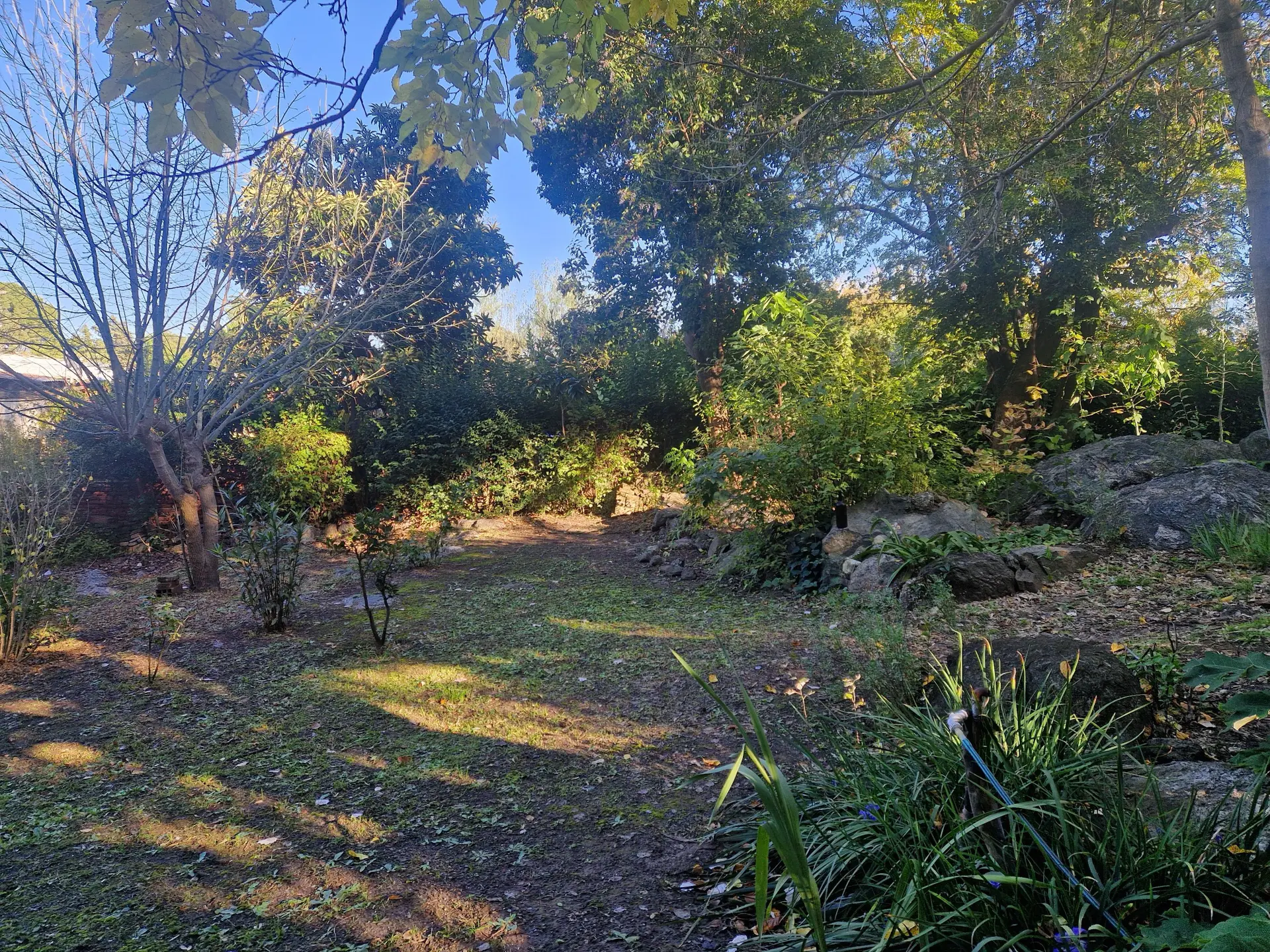 Foto 18