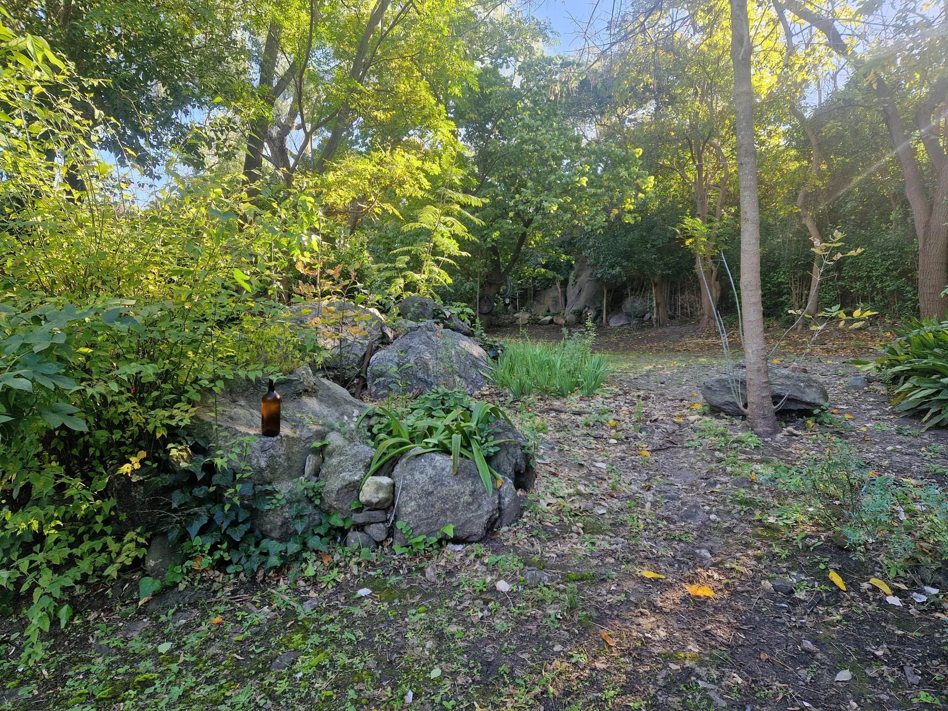 Foto 28