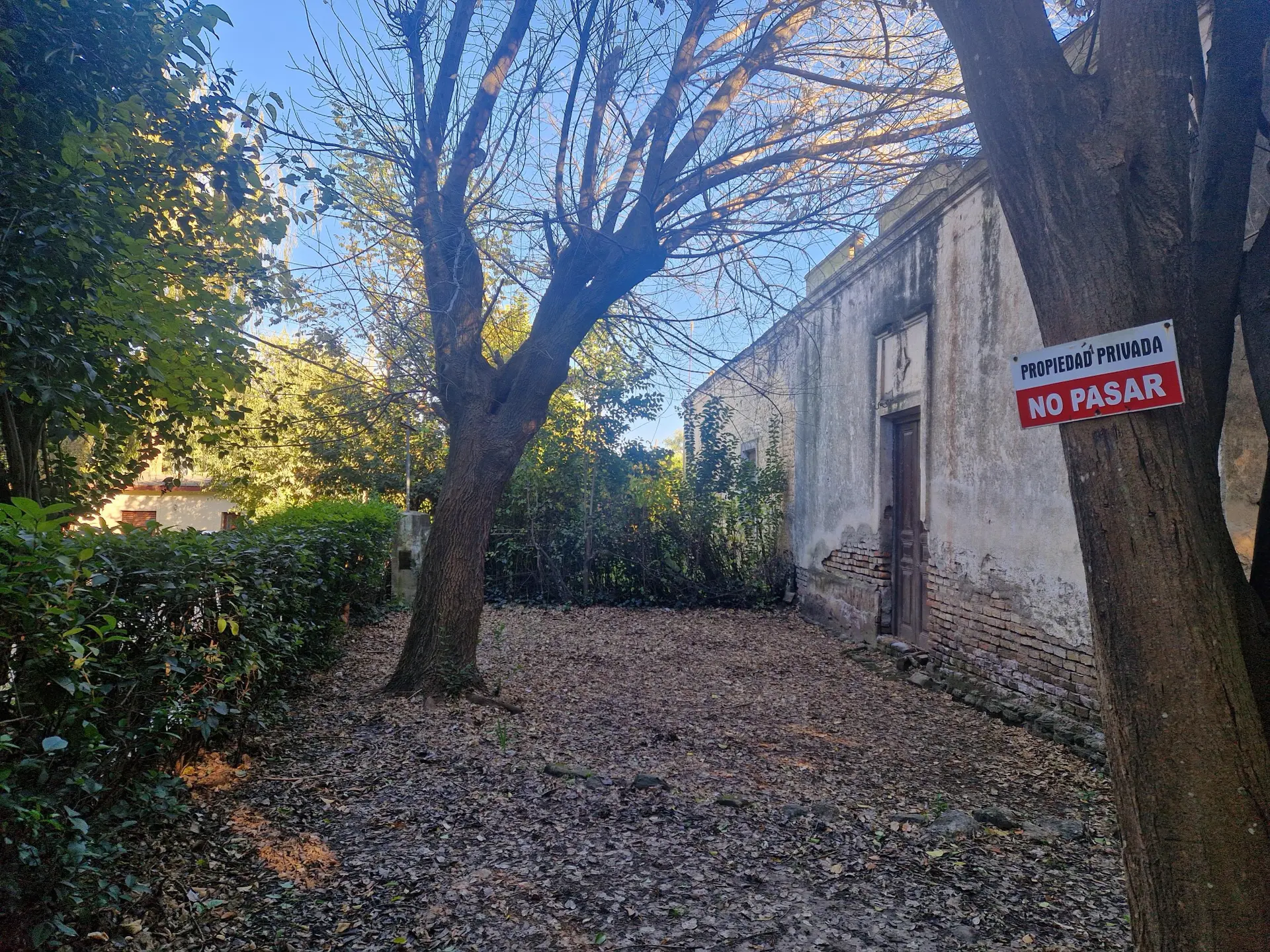 Foto 10
