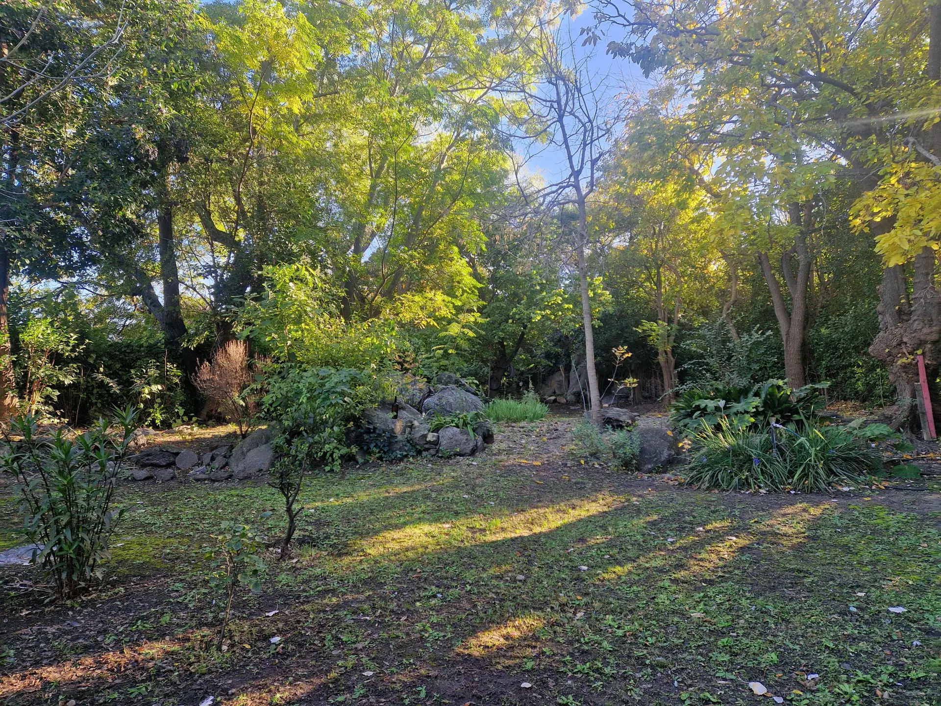 Foto 14
