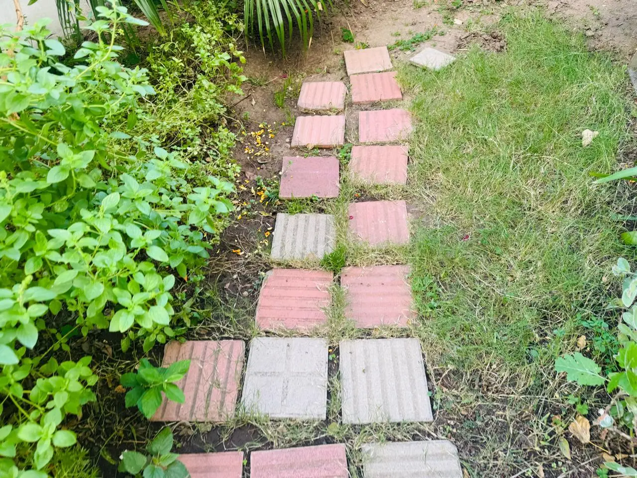 Foto 8