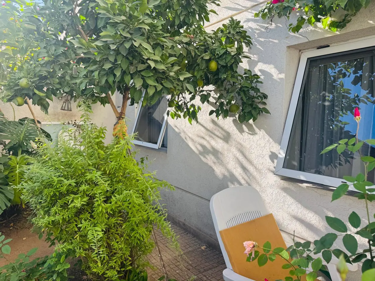 Foto 17
