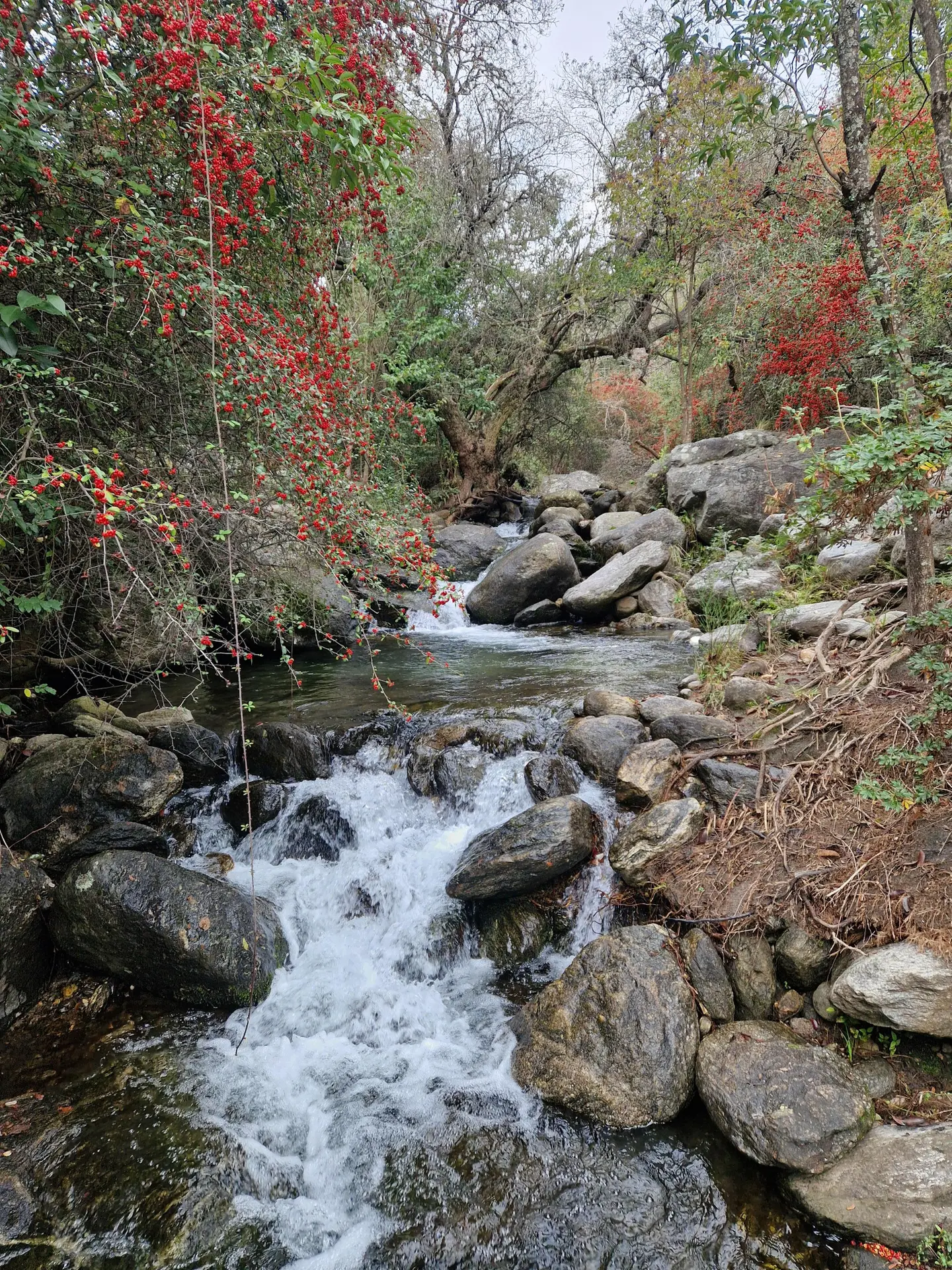 Foto 8