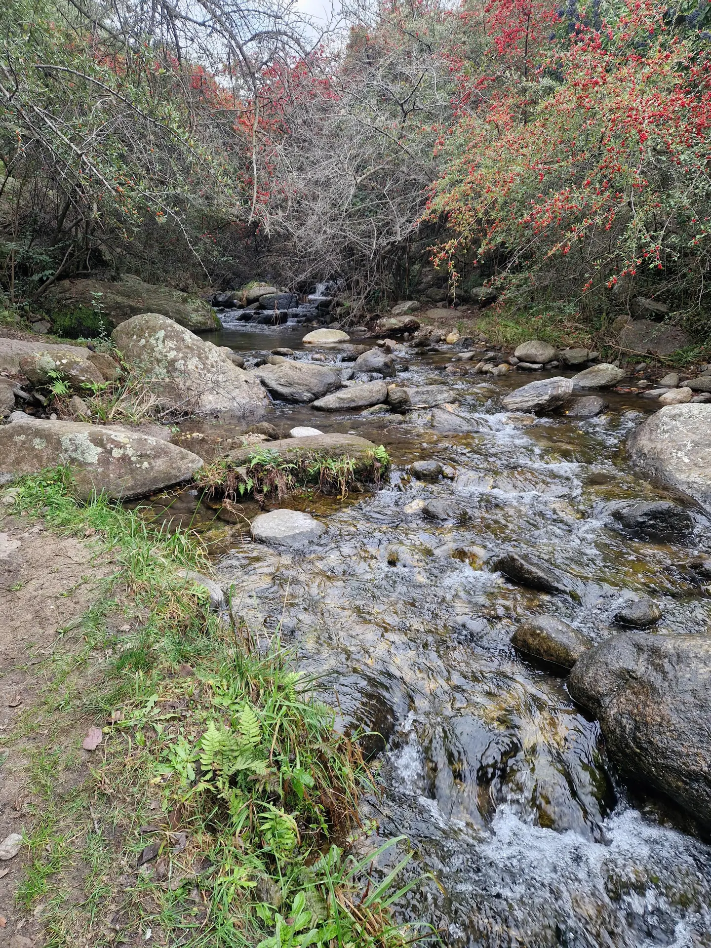 Foto 10