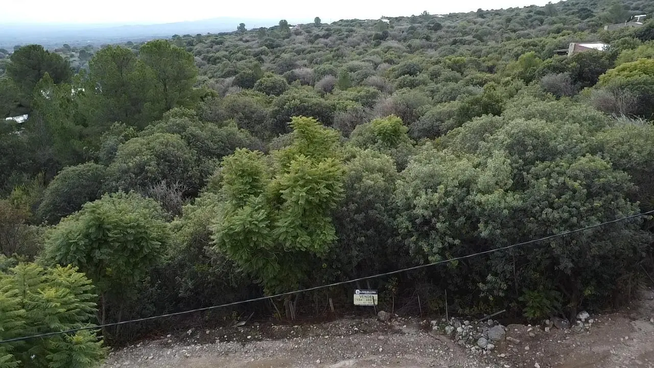 Foto 23