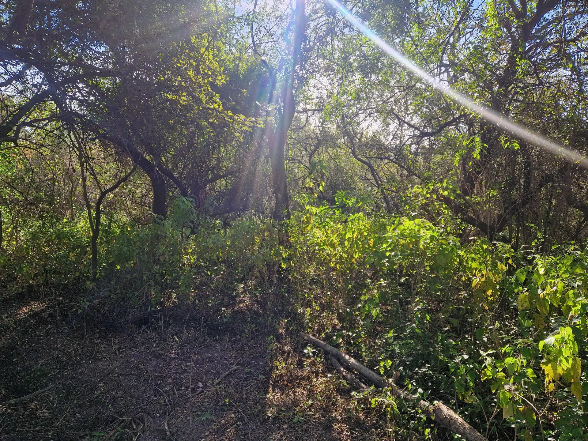 Foto 6