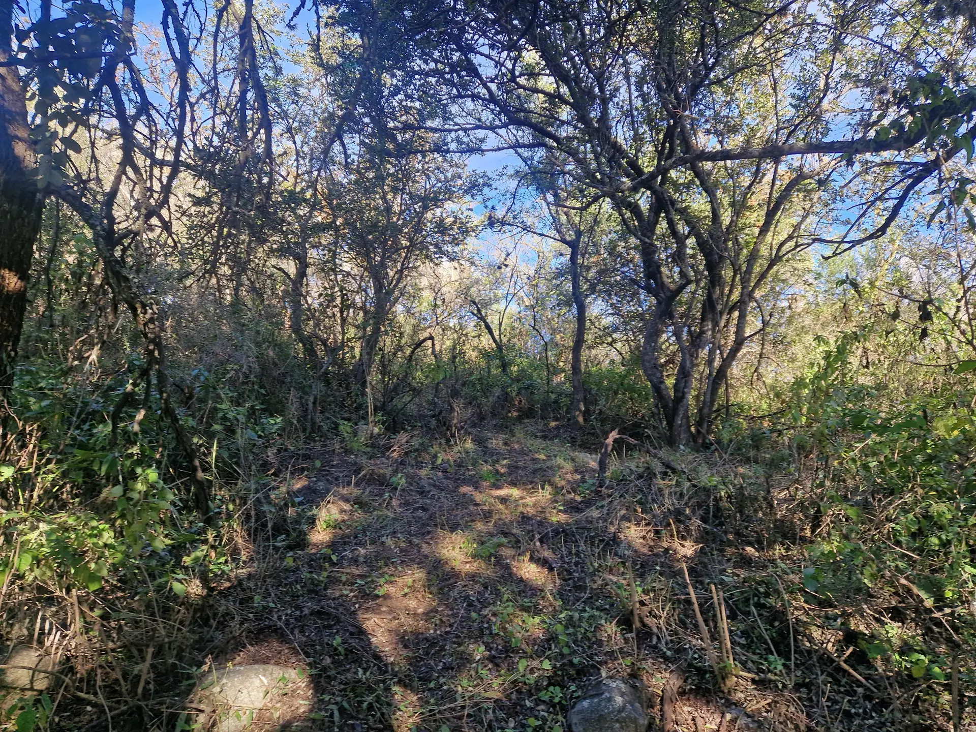 Foto 17
