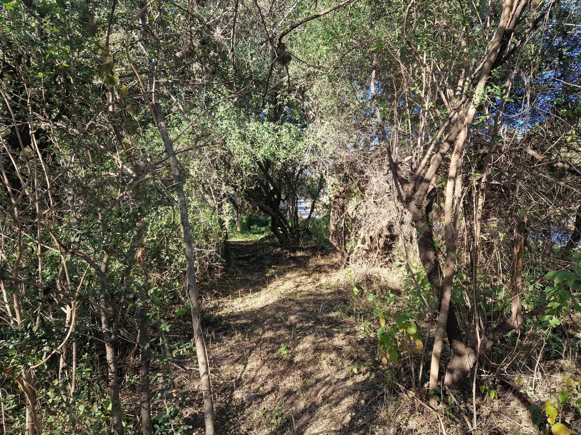 Foto 11