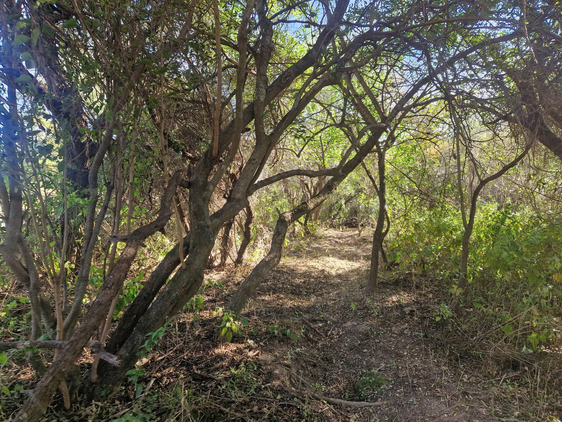 Foto 7