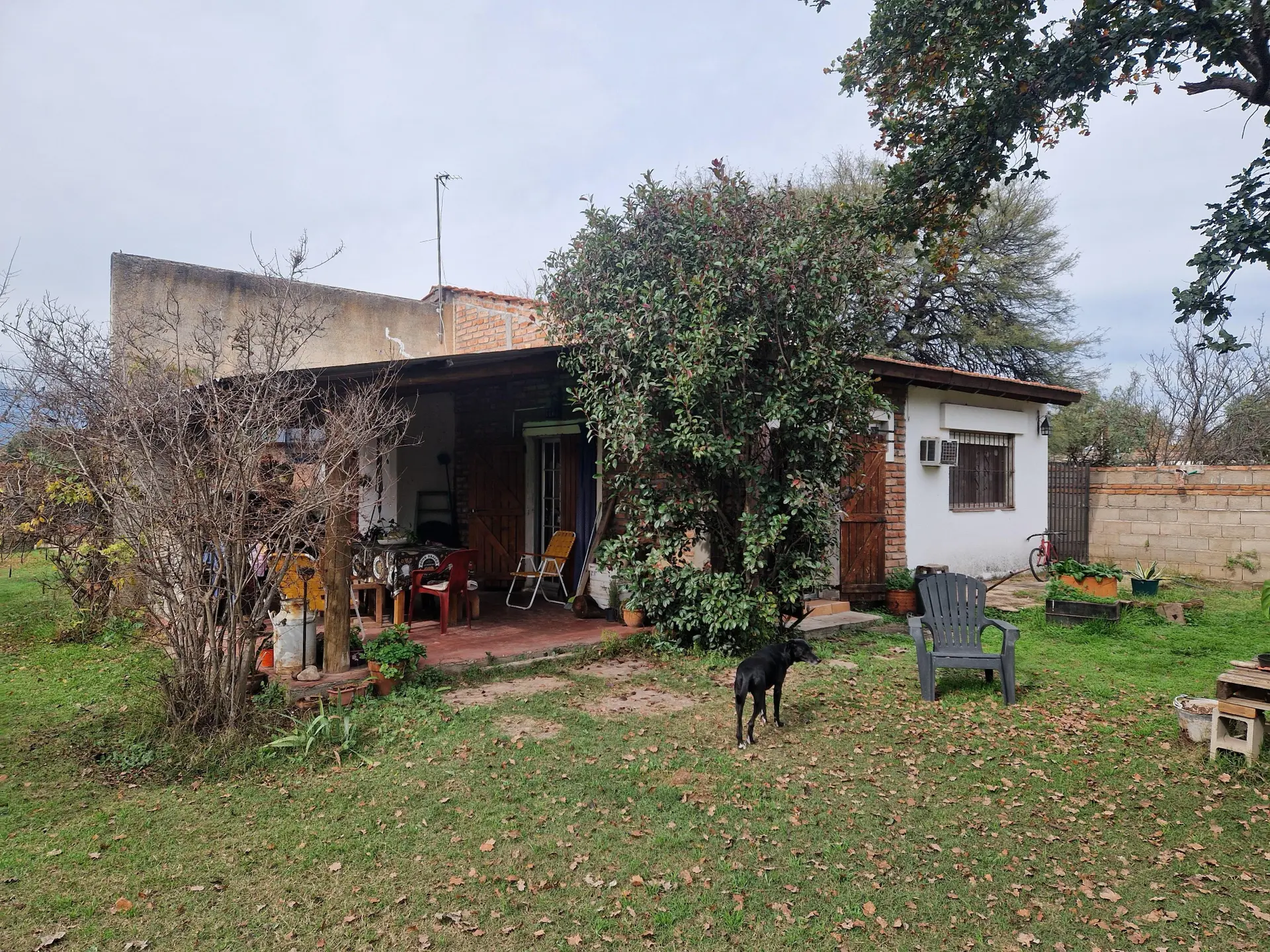 Foto 23