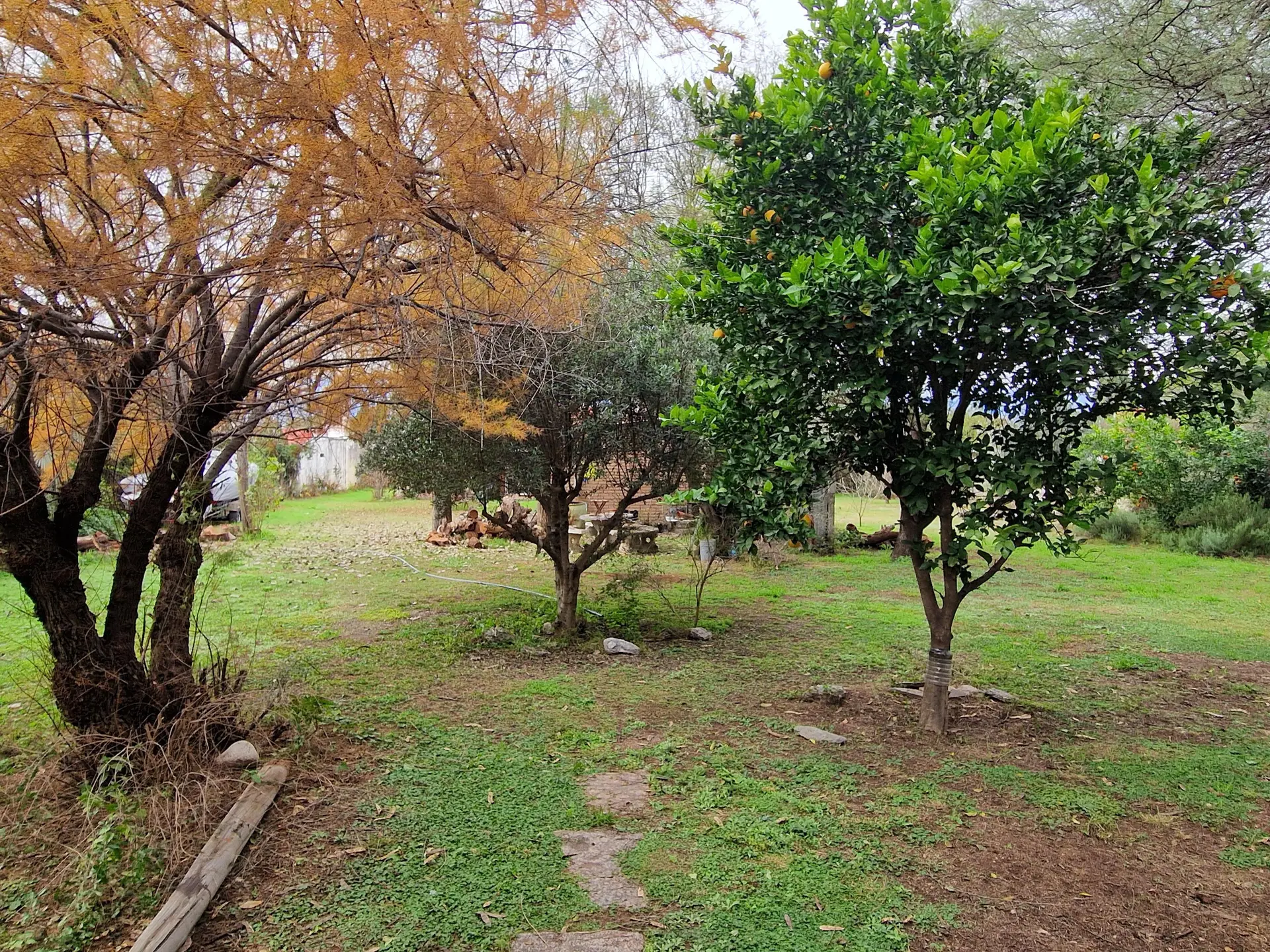 Foto 6