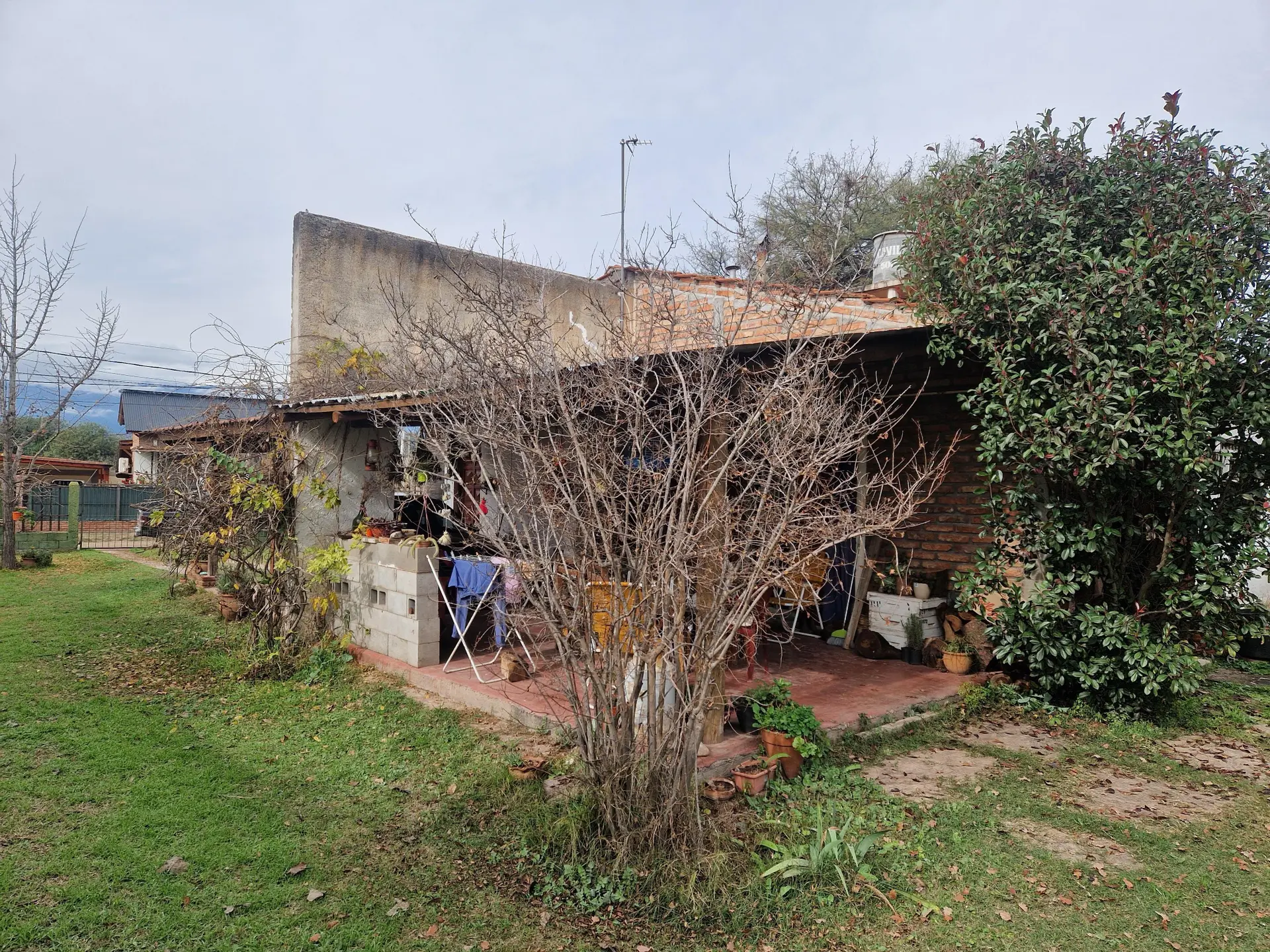 Foto 50