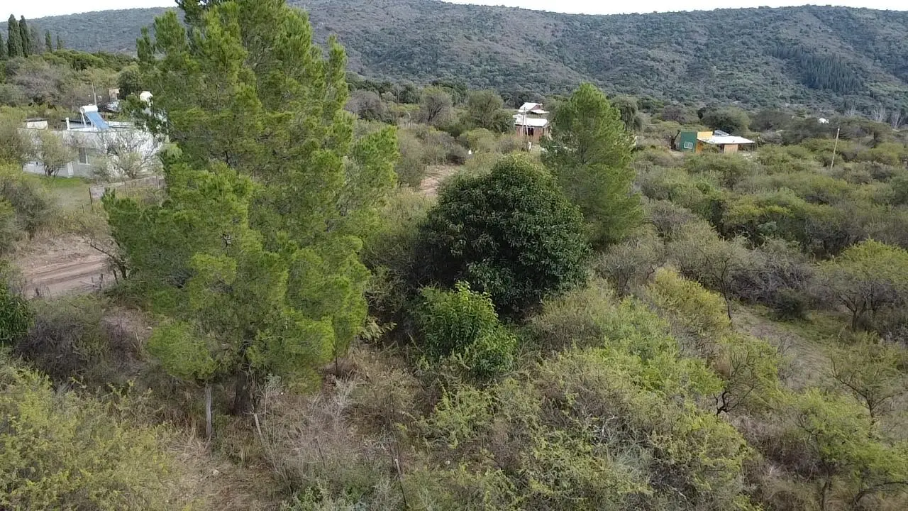 Foto 19