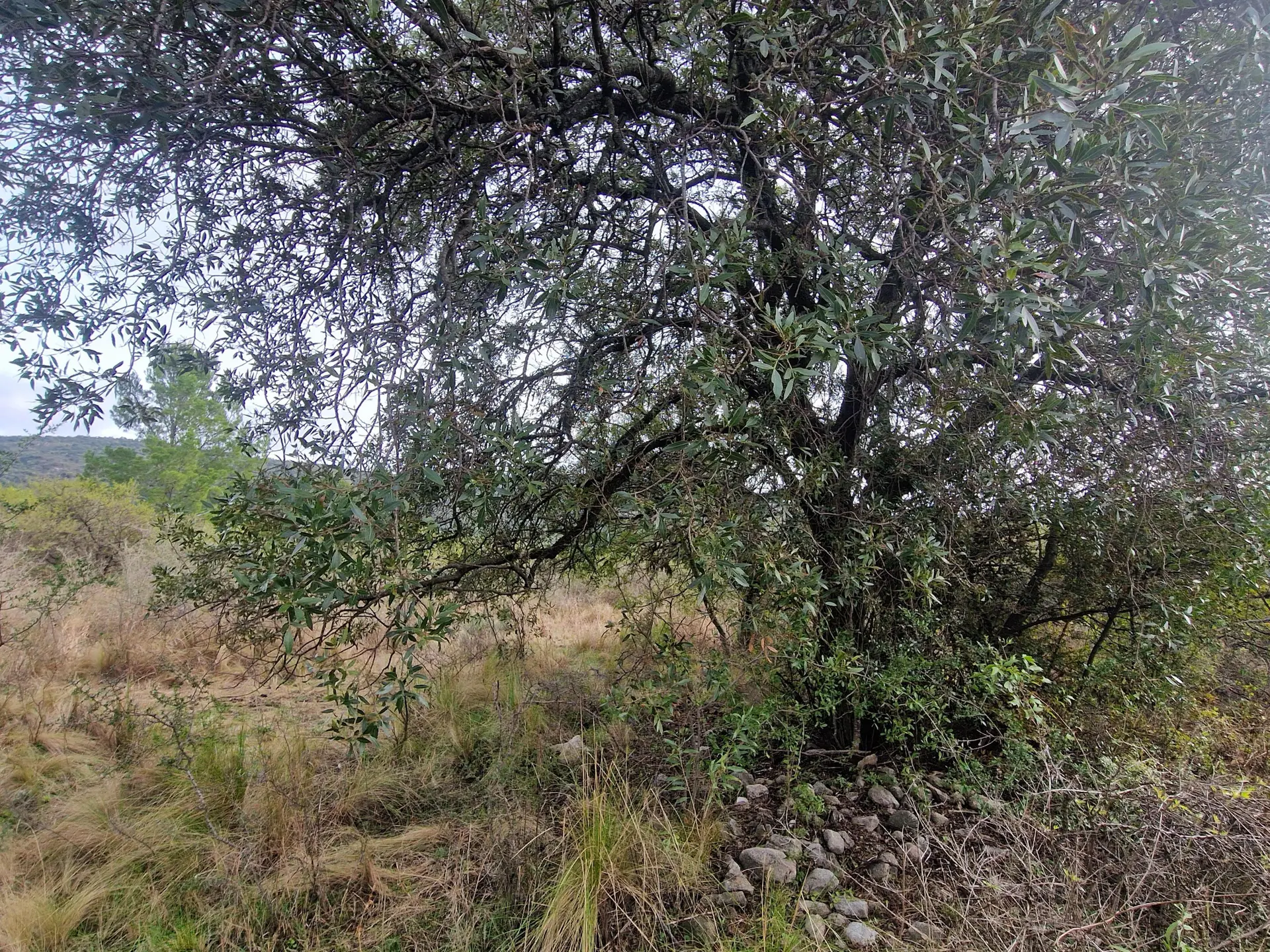 Foto 6