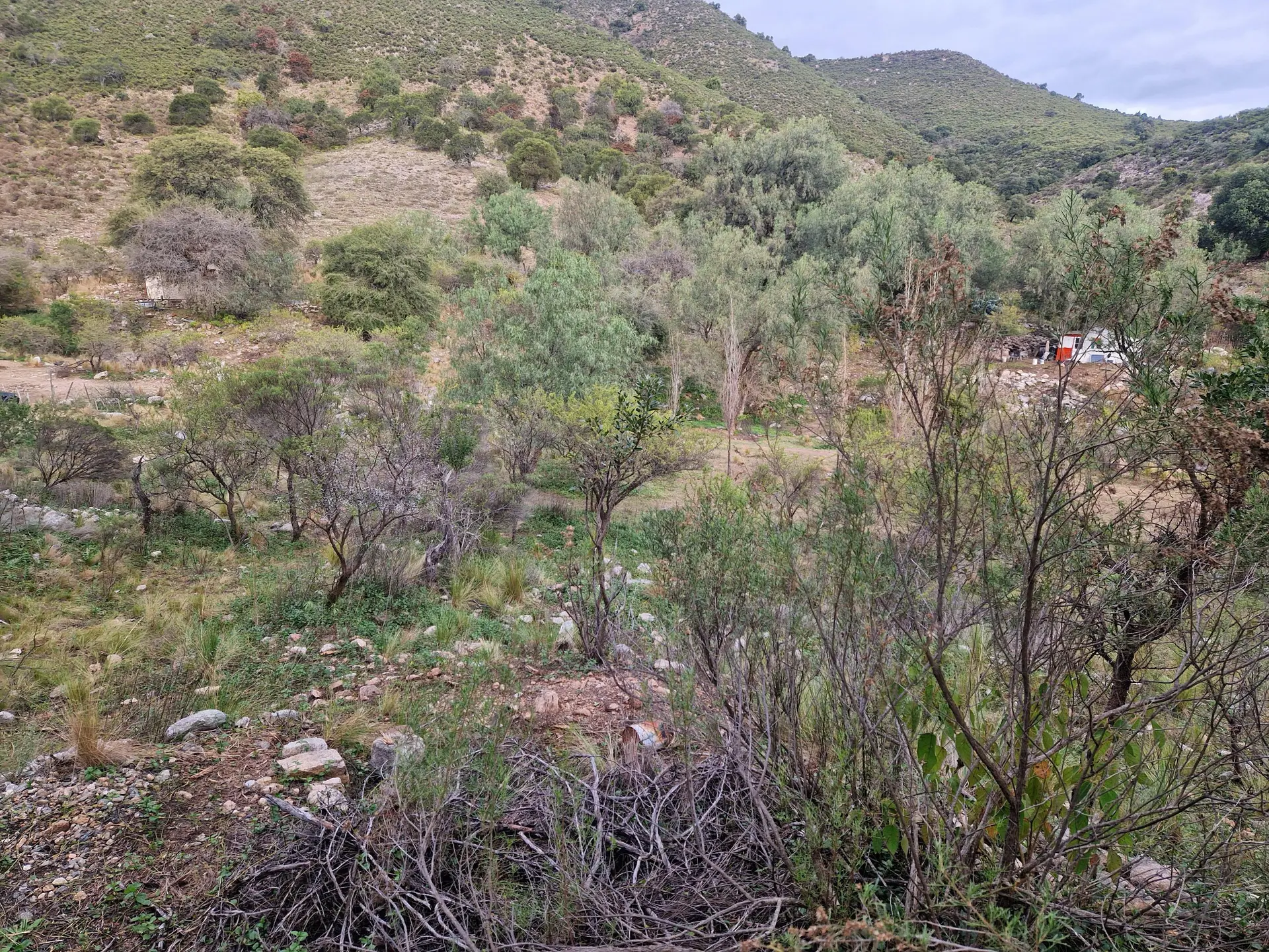 Terreno en venta · Los Hornillos, San Javier, Córdoba