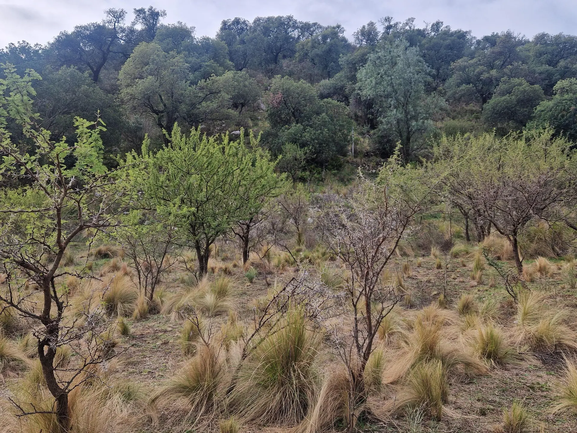 Foto 11
