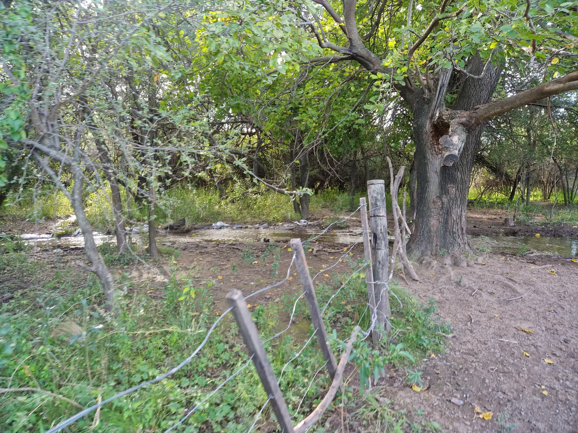 Foto 11