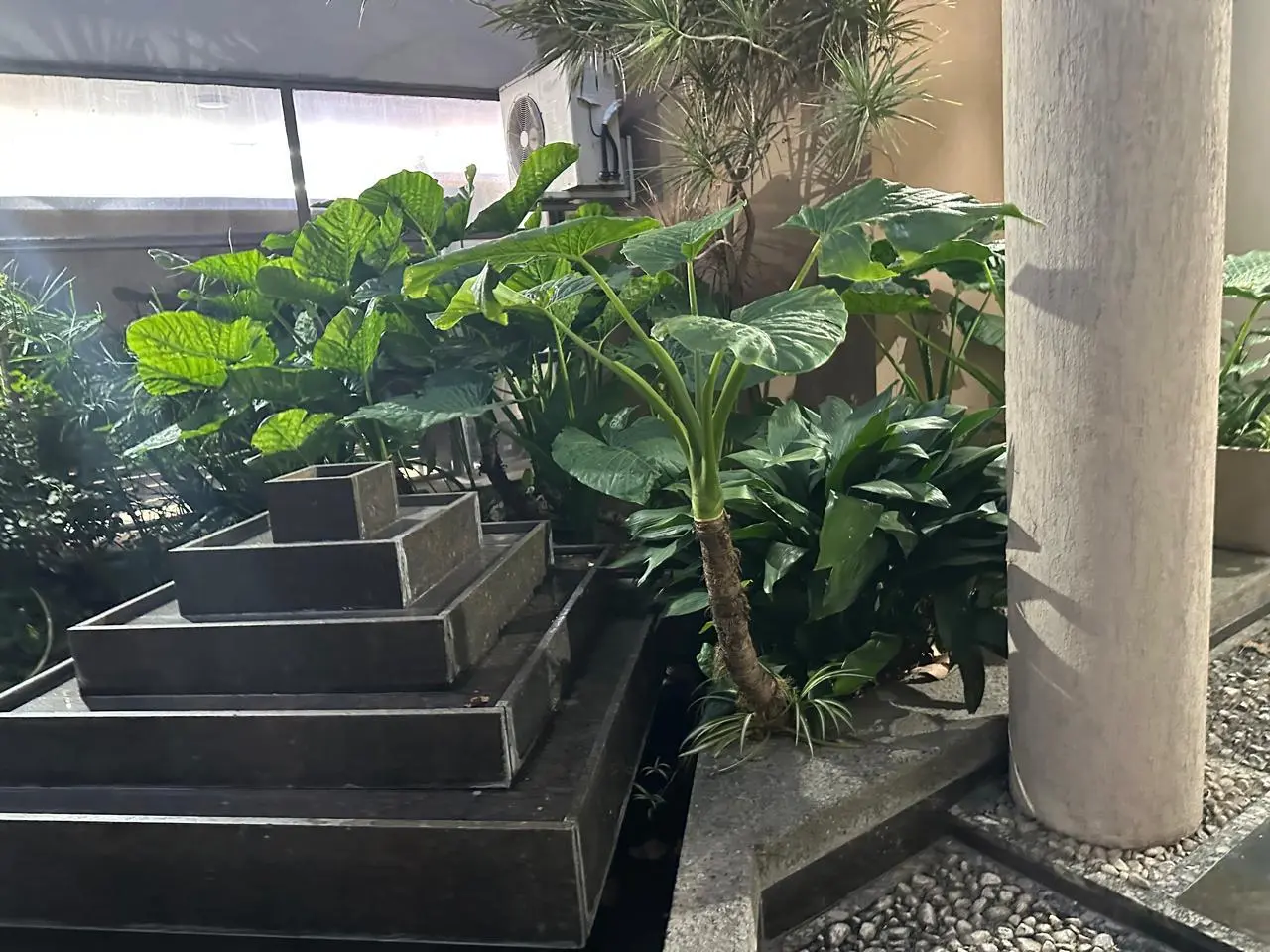 Foto 10