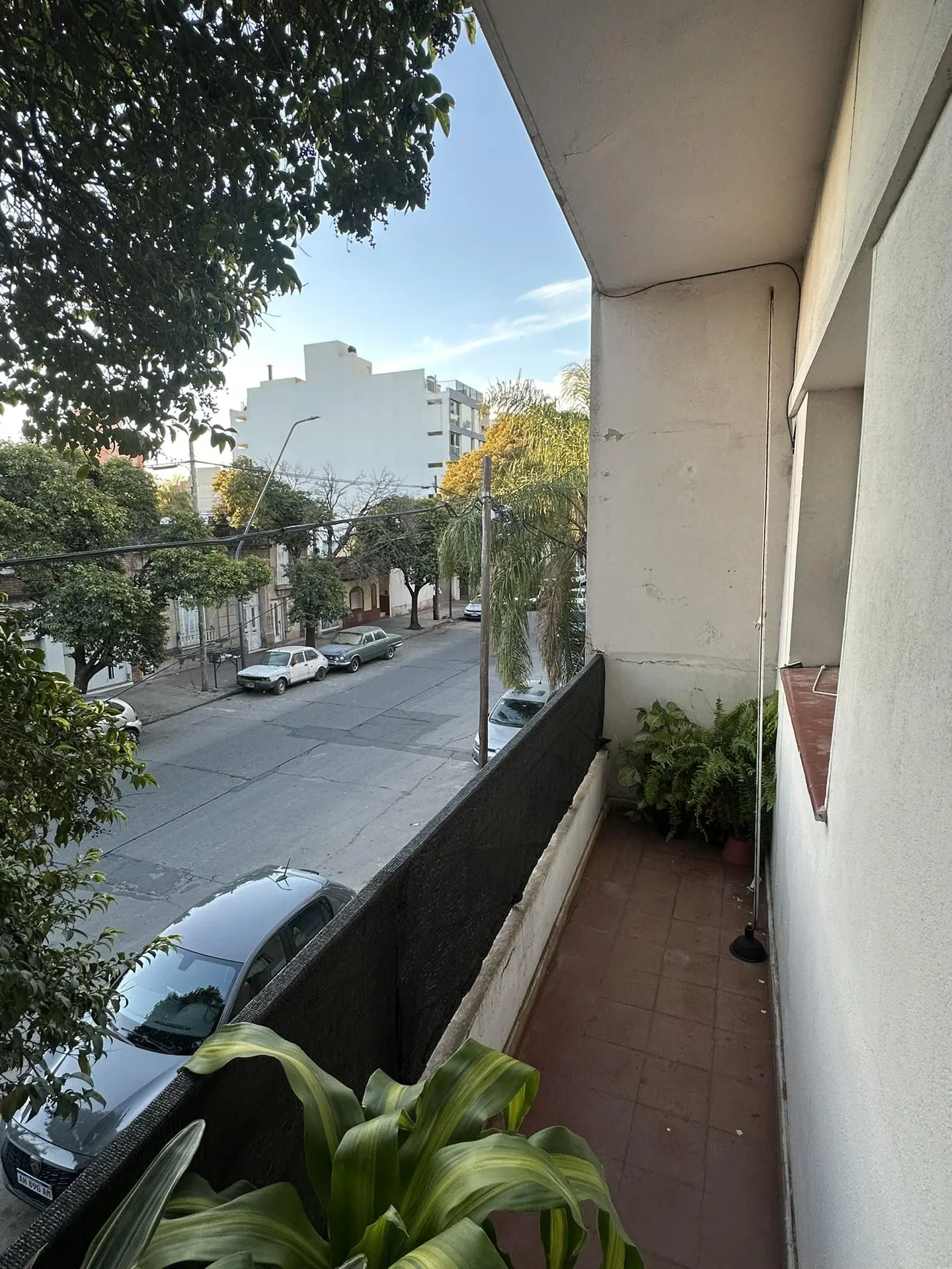 Foto 7