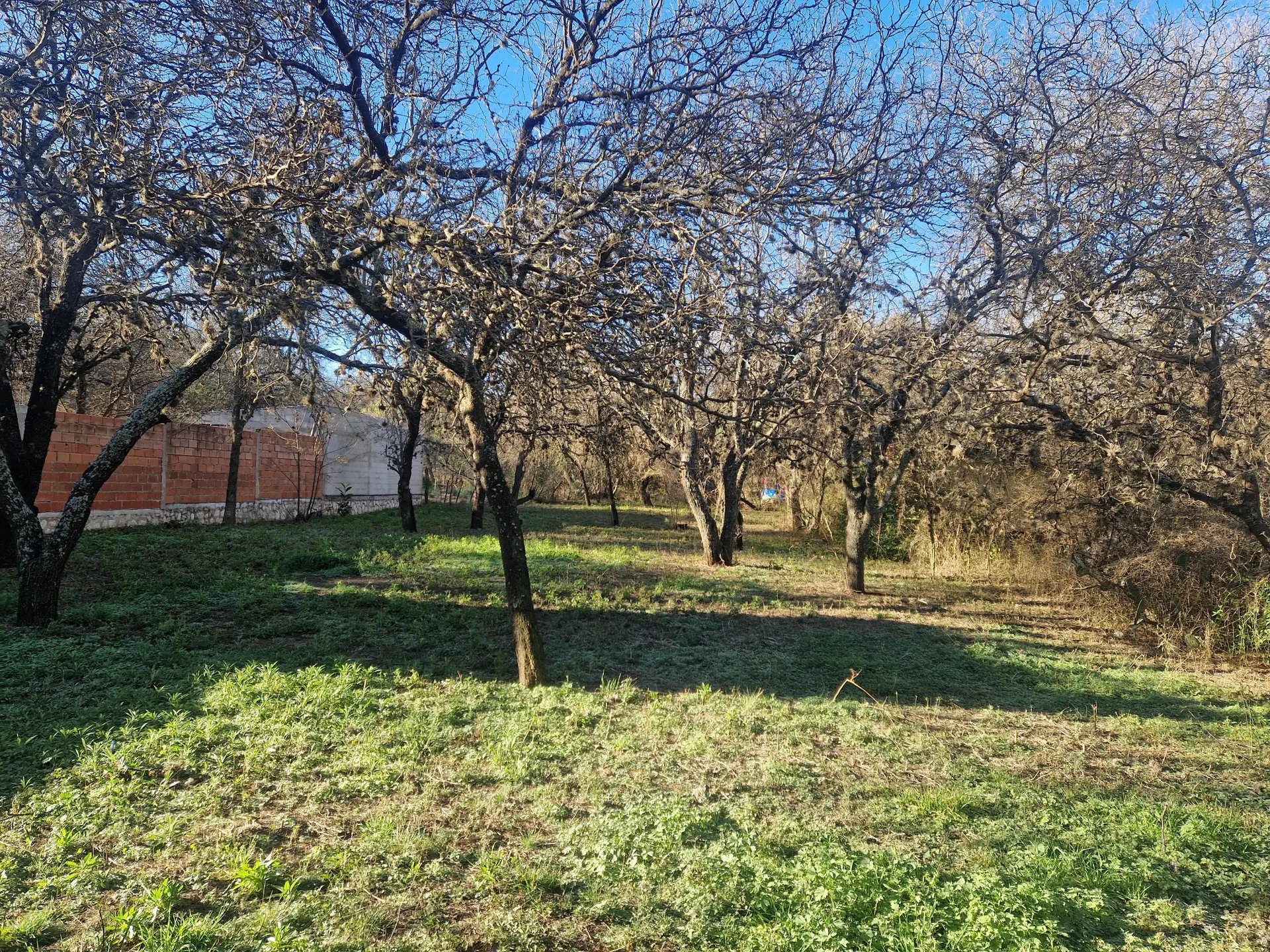 Foto 16
