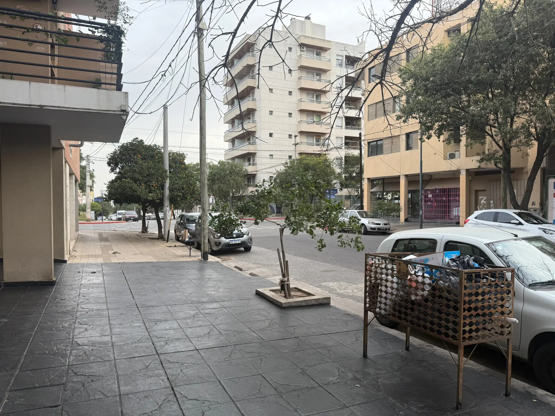 Foto 7