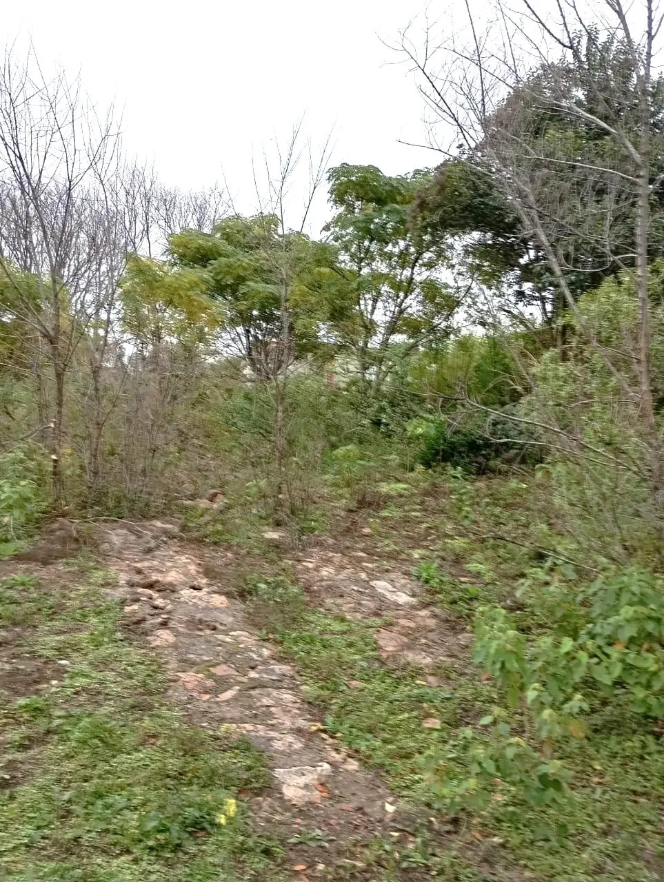 Foto 9