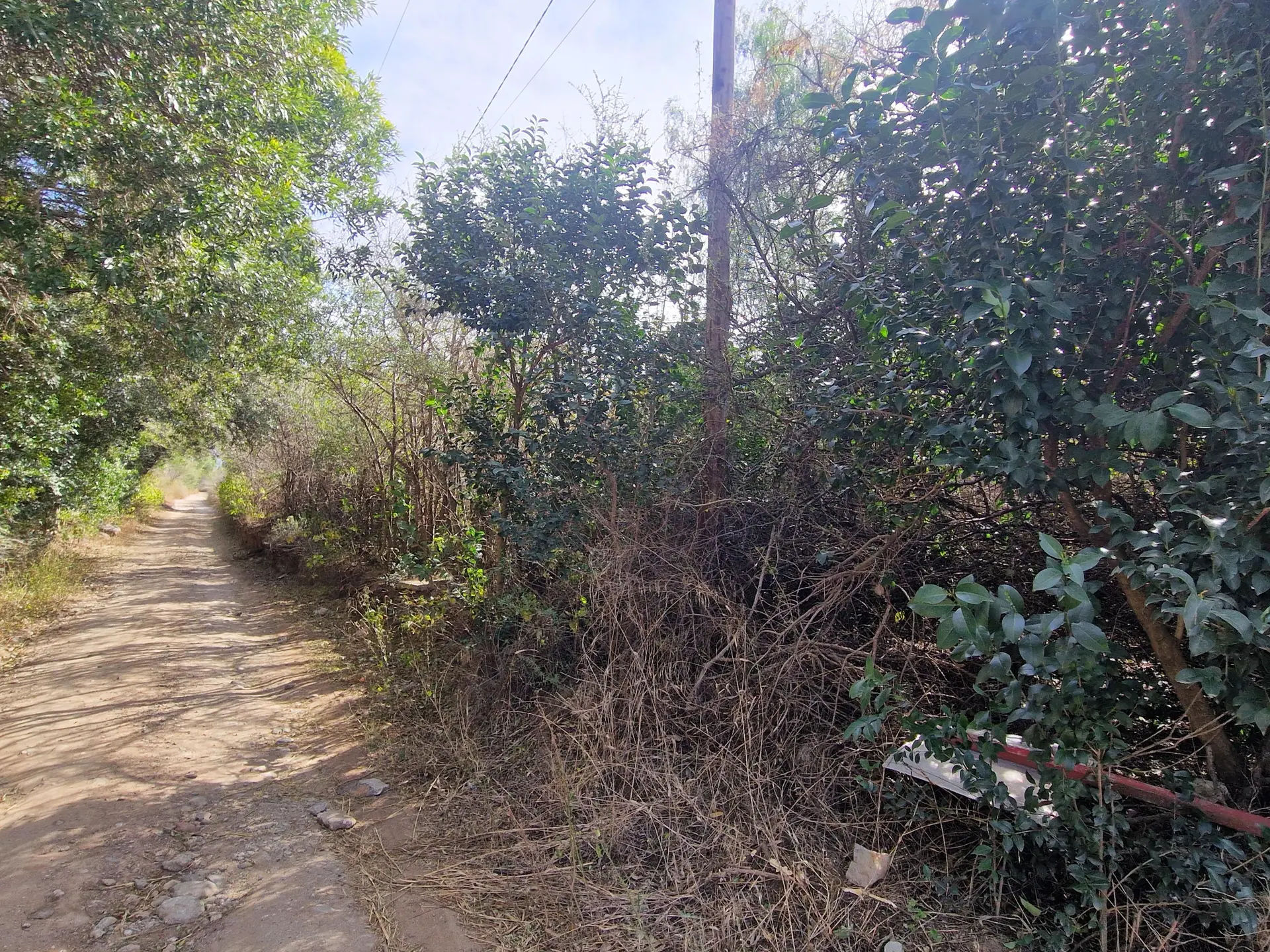 Foto 6