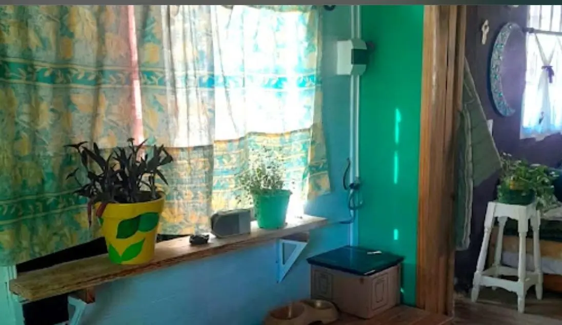 Foto 15
