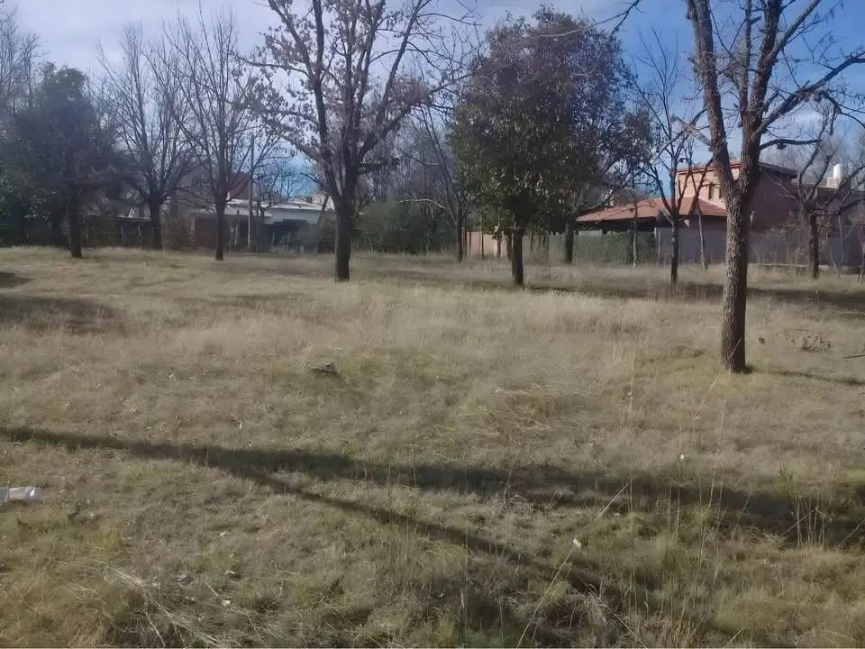 Foto 11