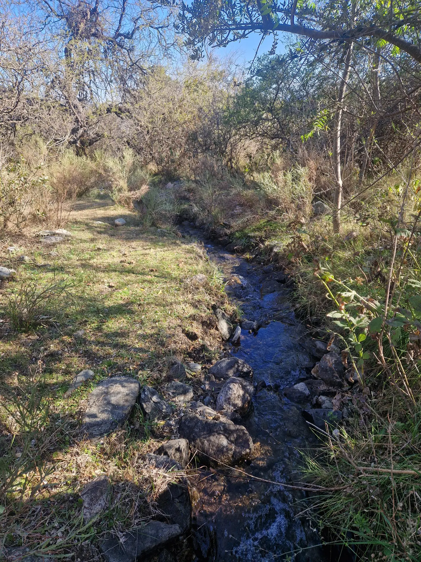Foto 12