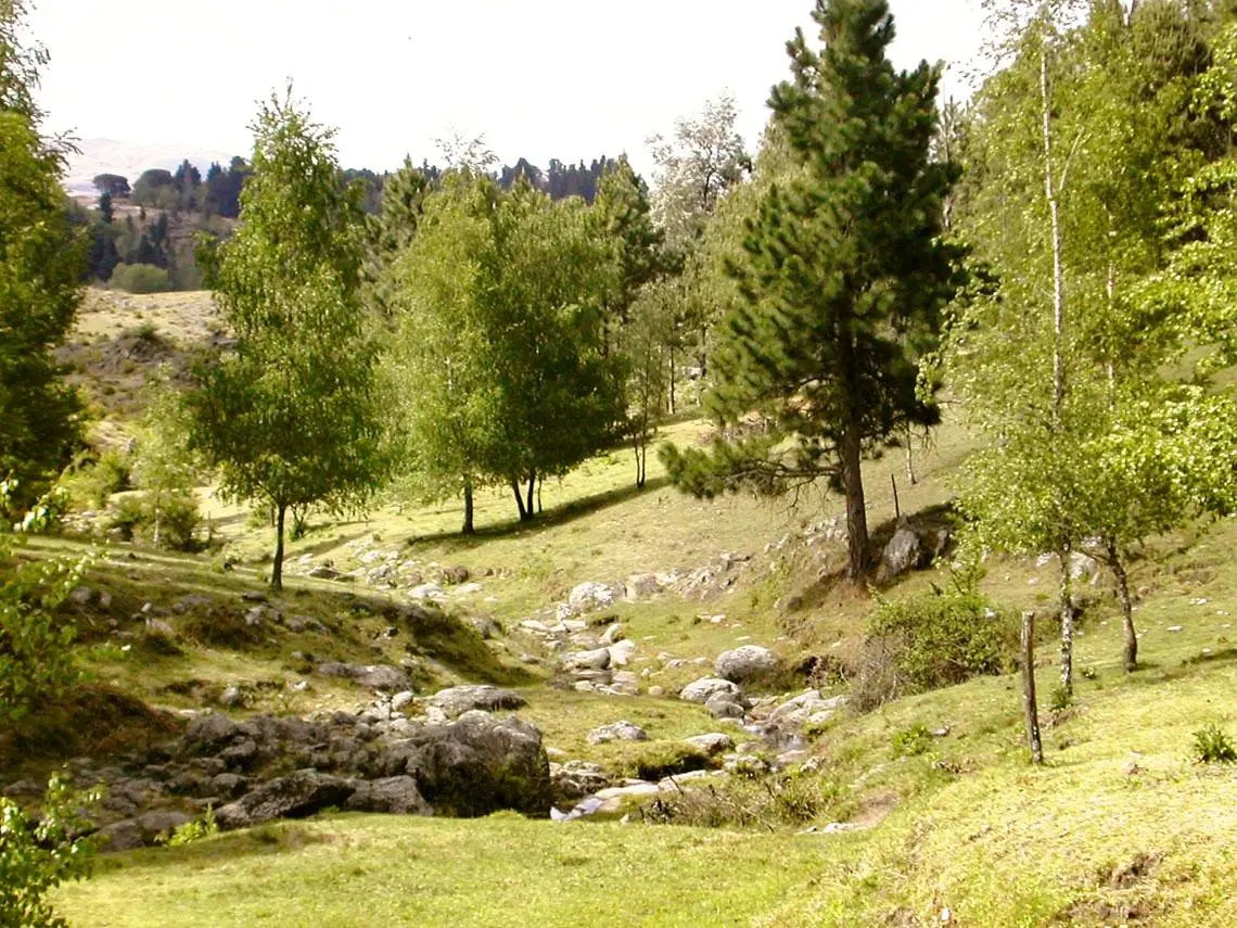 Foto 8